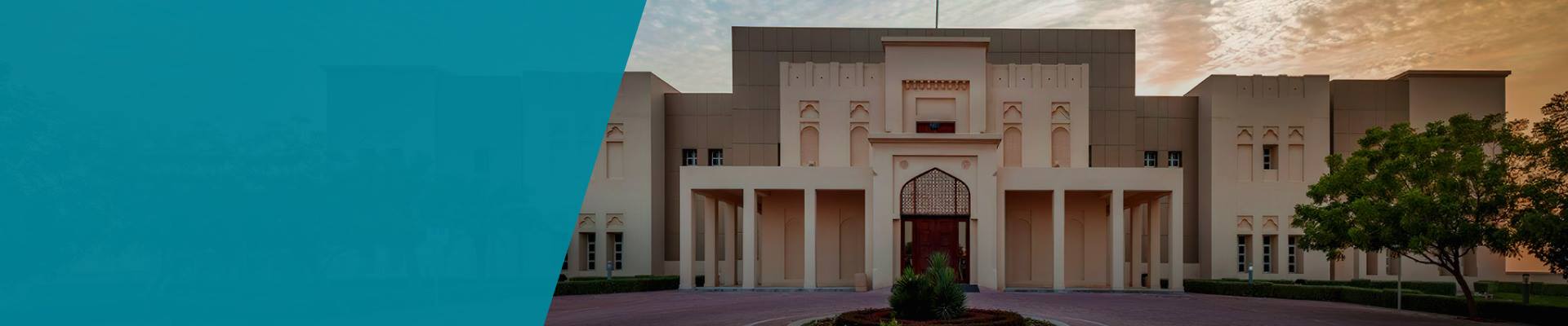 شروط الاستخدام